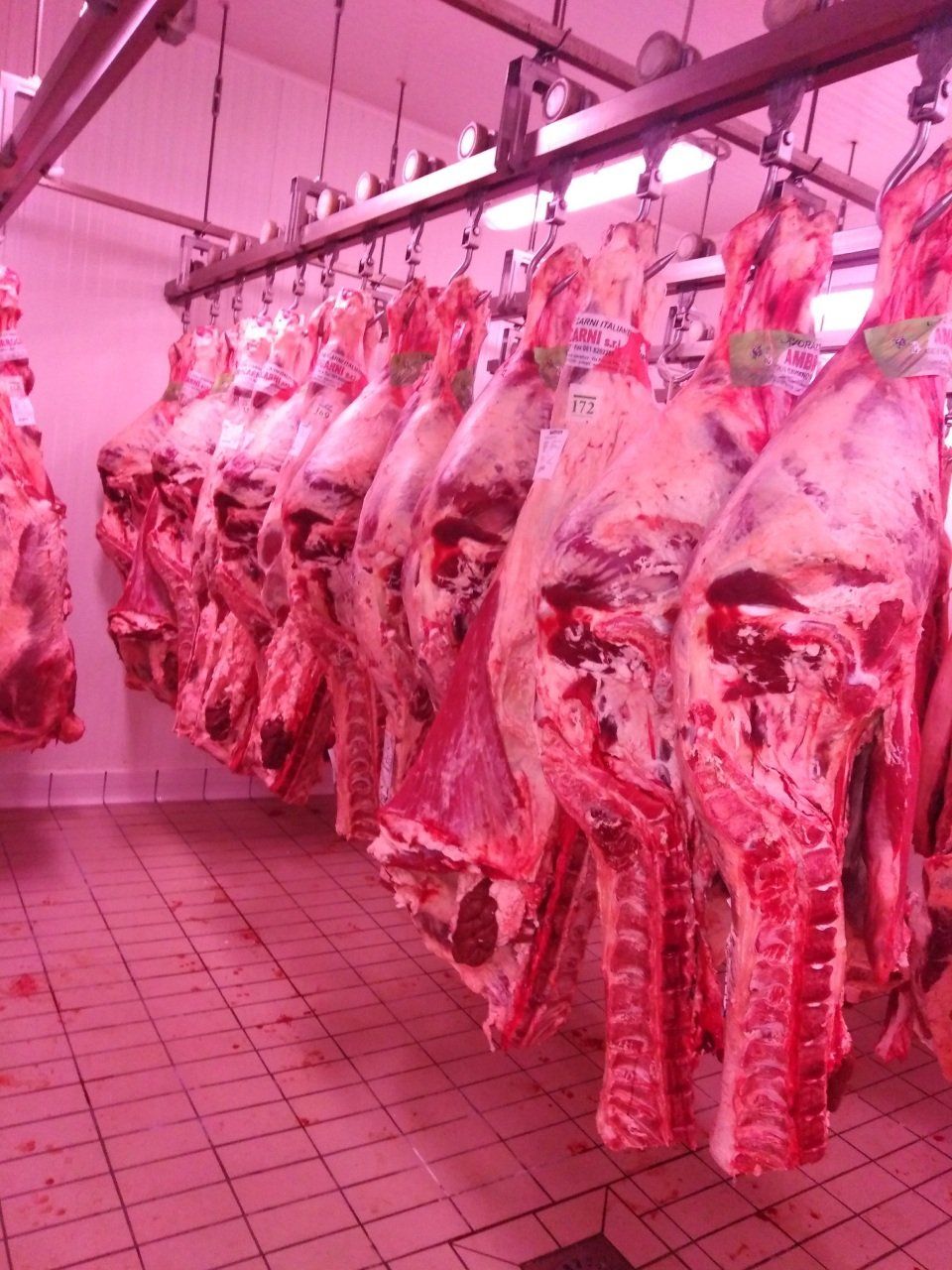 carni fresche