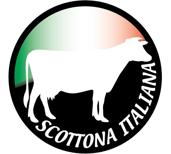 AMBROCARNI-LOGO