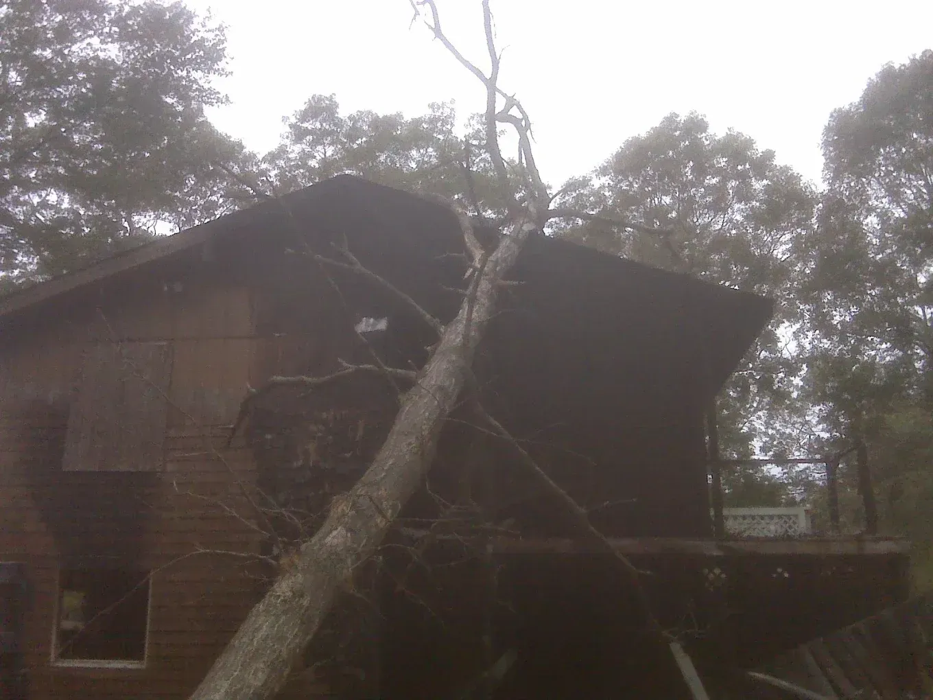 Tree fallen on a dark brown house, likely damaging the roof and deck, in a wooded area.