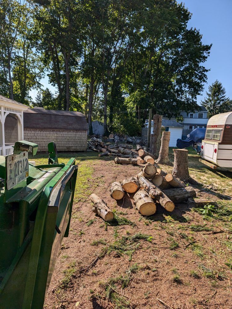 Logs and stumps in a yard after tree removal; green tractor in foreground, trees and houses in the background.