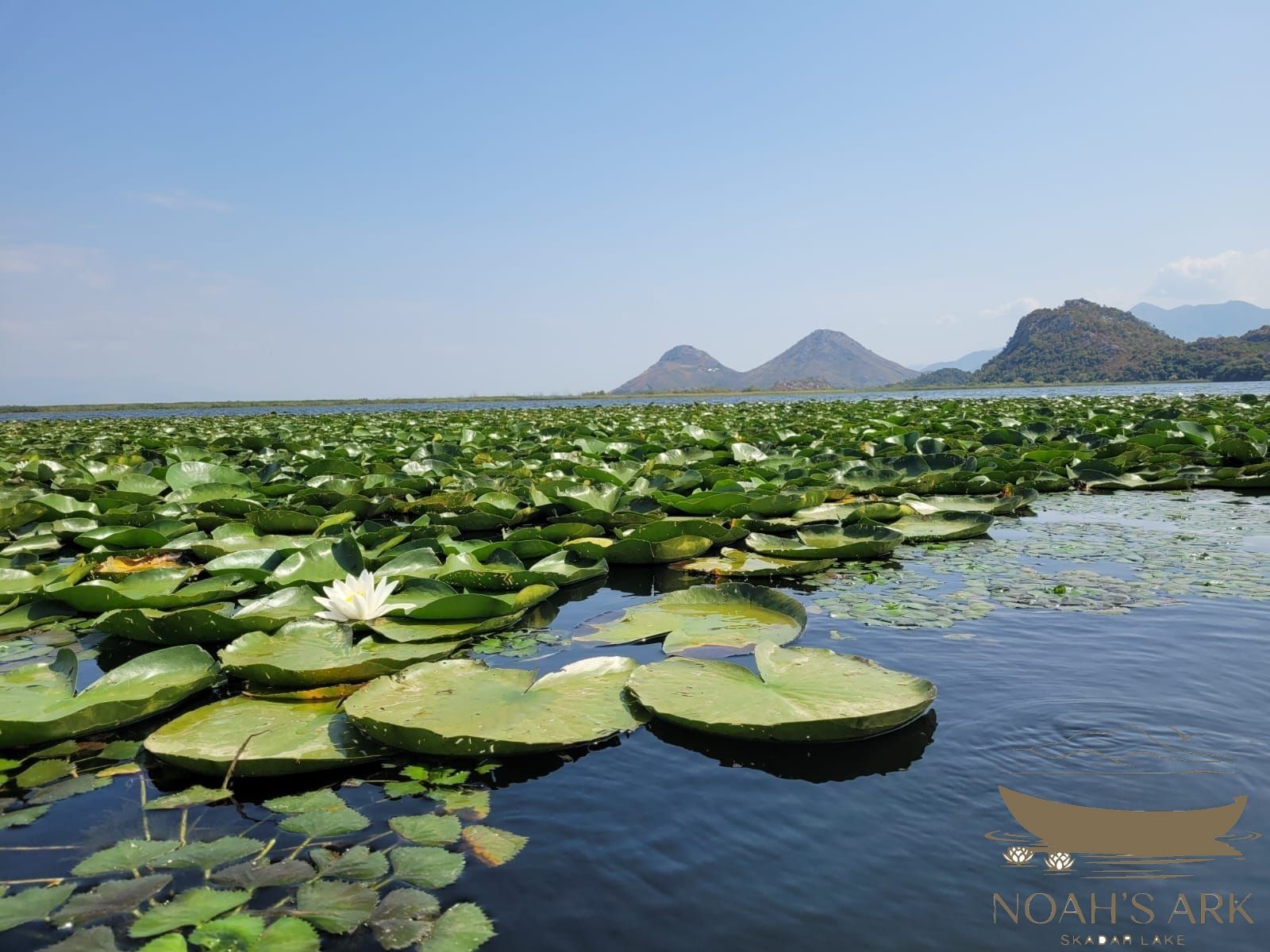 Noah's Ark Skadar Lake Boat Tours Virpazar