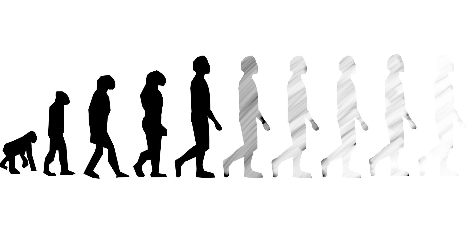 A row of silhouettes of people walking in a row on a white background.