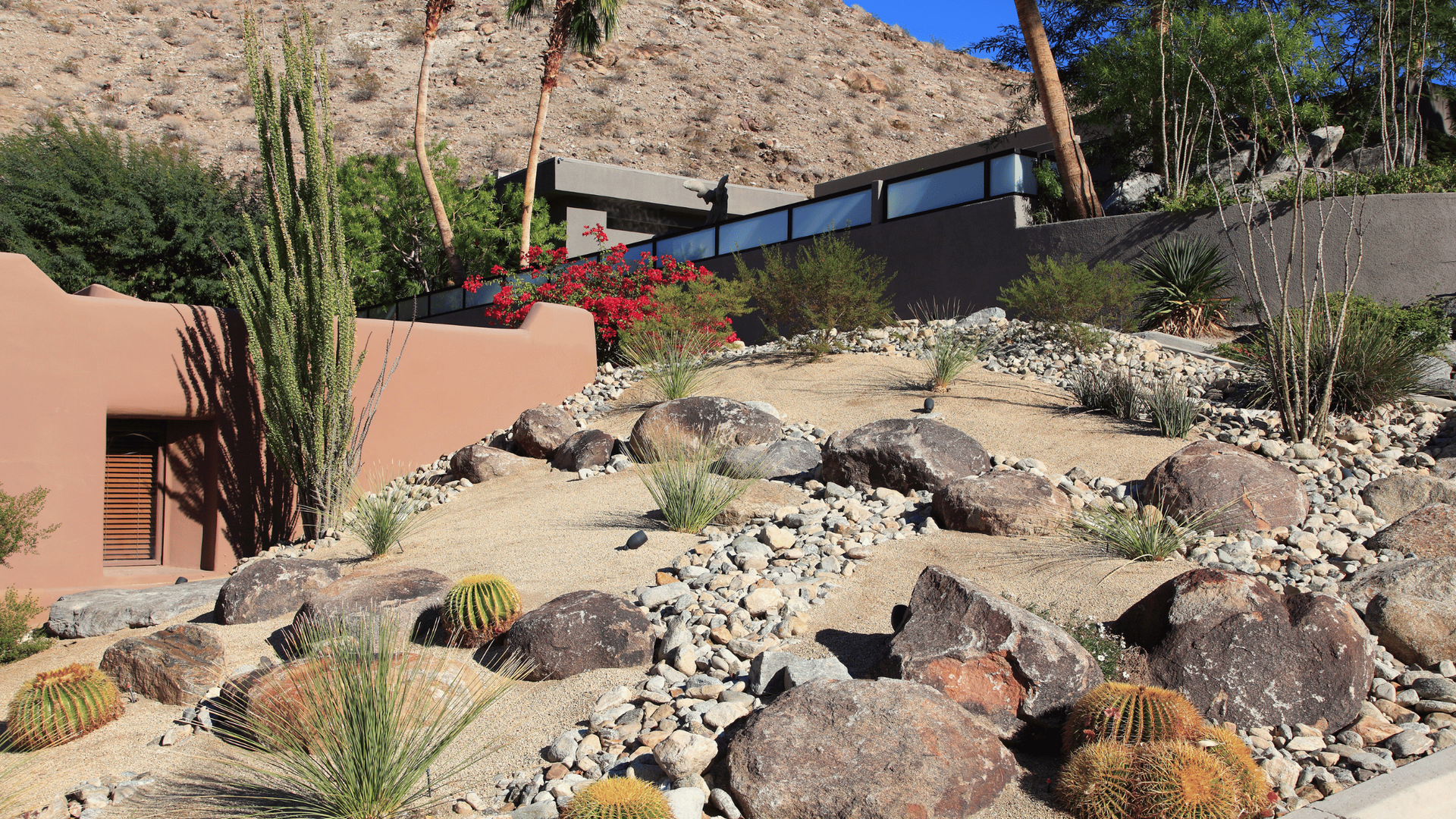 A desert landscape with rocks and cactus in front of a house