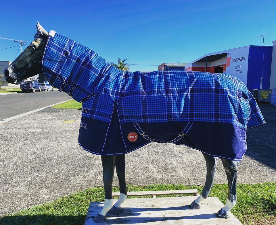 Statue of a Horse Wearing a Blue Plaid Blanket Outdoors — North Coast Stock Feeds in New Italy, NSW