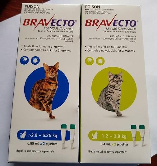 Boxes of Bravecto for Cats — North Coast Stock Feeds in Ballina, NSW