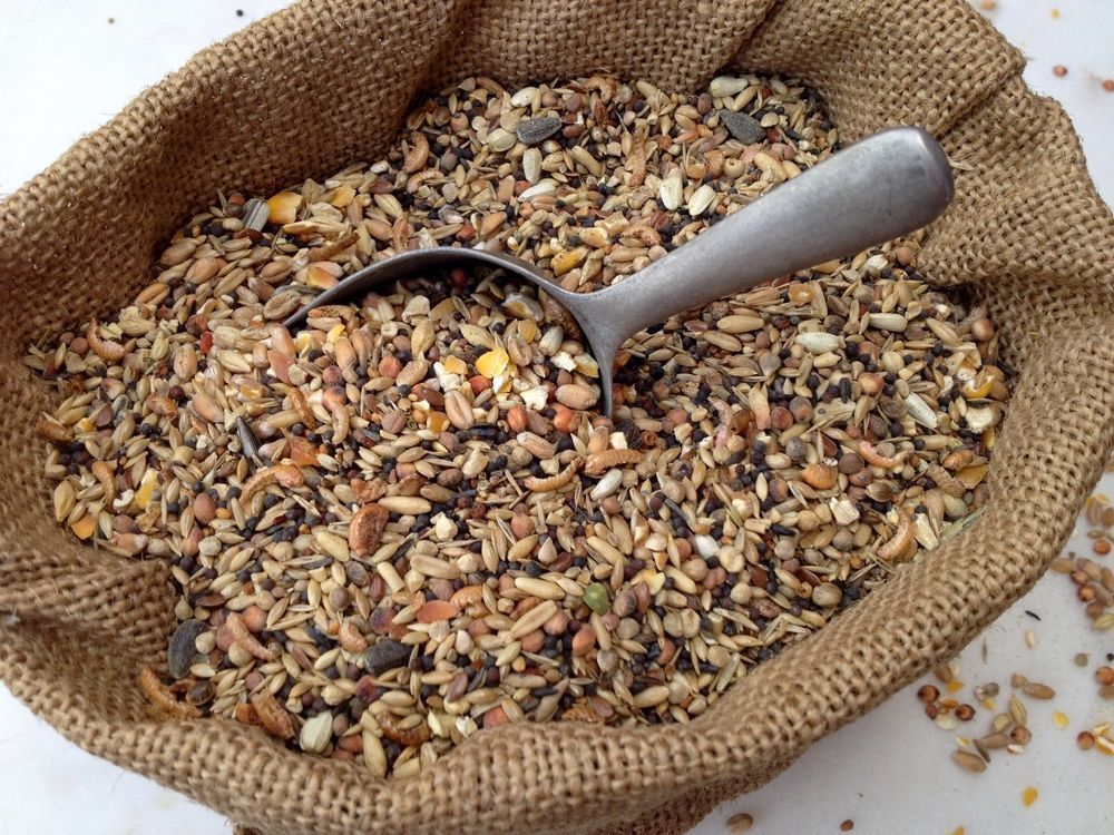 Birdseed in a Burlap Bag With a Metal Scoop — North Coast Stock Feeds in Ballina, NSW