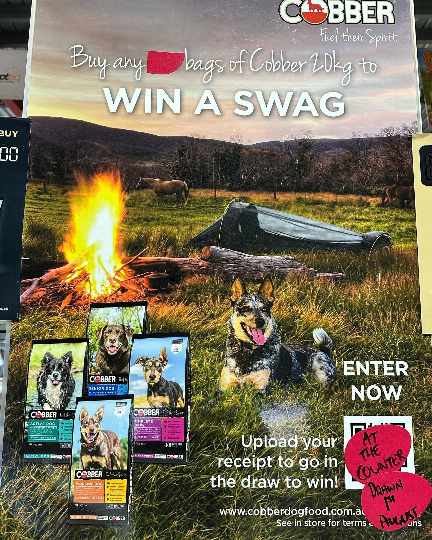 Advertisement for Cobber Dog Food — North Coast Stock Feeds in Ballina, NSW