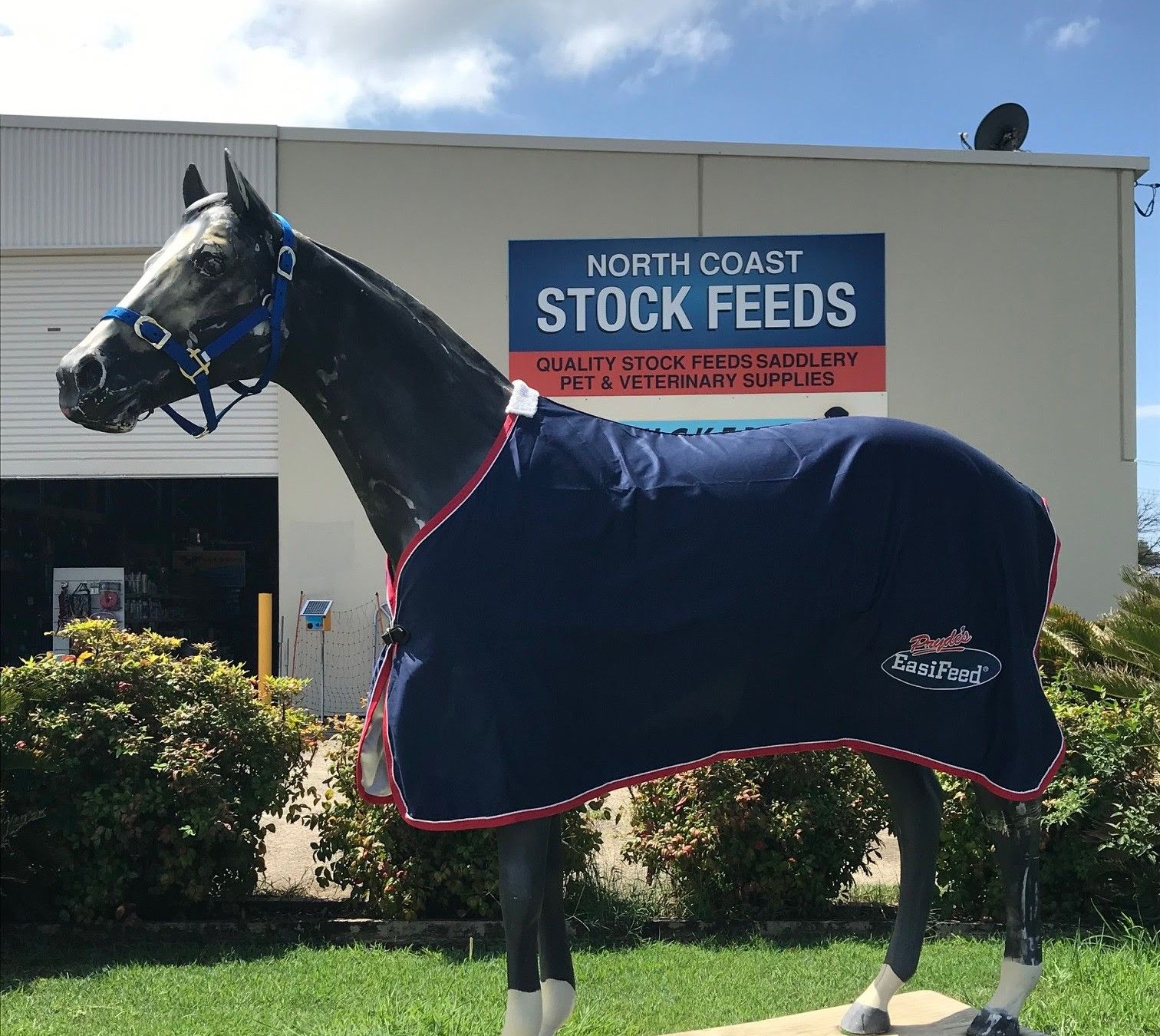 Horse Statue Wearing a Navy Blanket in Front of North Coast Stock Feeds — North Coast Stock Feeds in Ballina, NSW