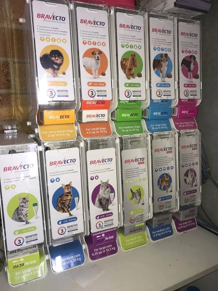 Display of Bravecto Flea and Tick Treatment — North Coast Stock Feeds in Ballina, NSW