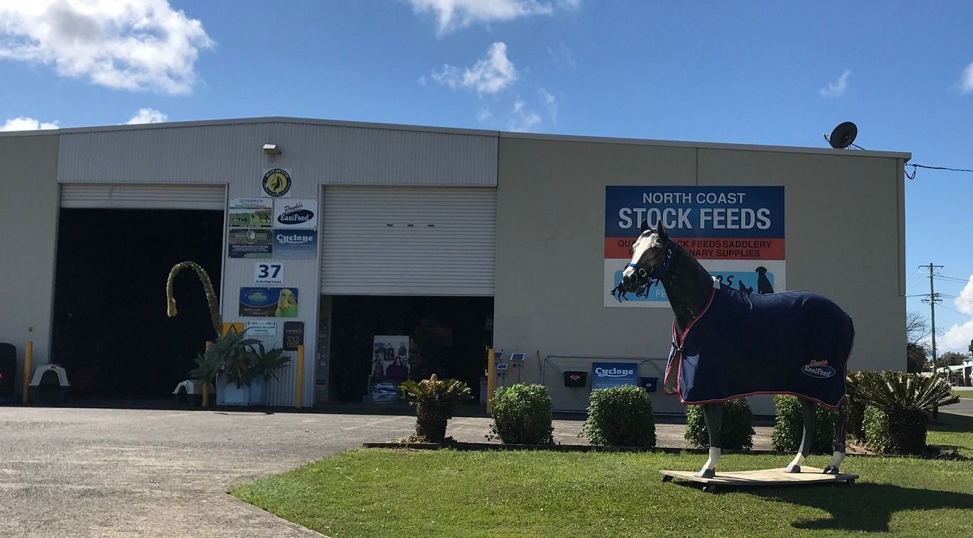 Feed Store With a Horse Statue Wearing a Blanket Outside — North Coast Stock Feeds in Ballina, NSW