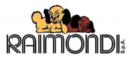 Raimondi logo