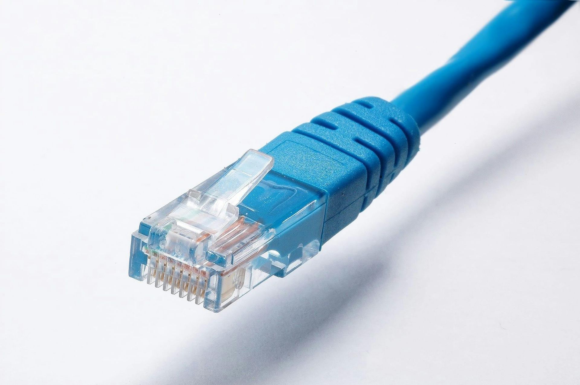 A close up of a blue ethernet cable on a white surface