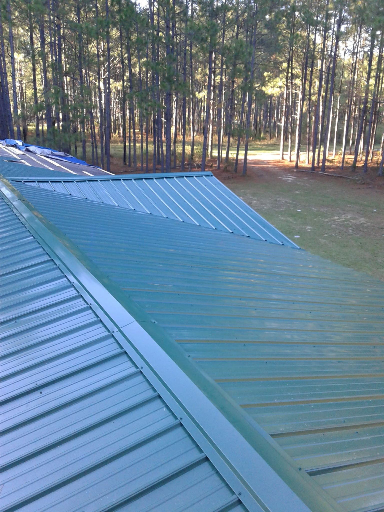 An elevated view of a green metal roof sloping down toward a forest background on a sunny day.