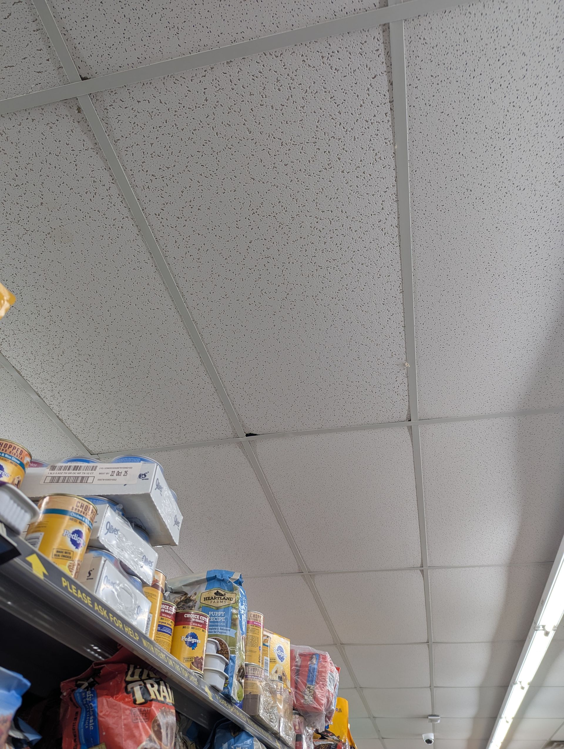 A low-angle view showing grocery store shelves packed with various snacks below a white acoustic drop ceiling.