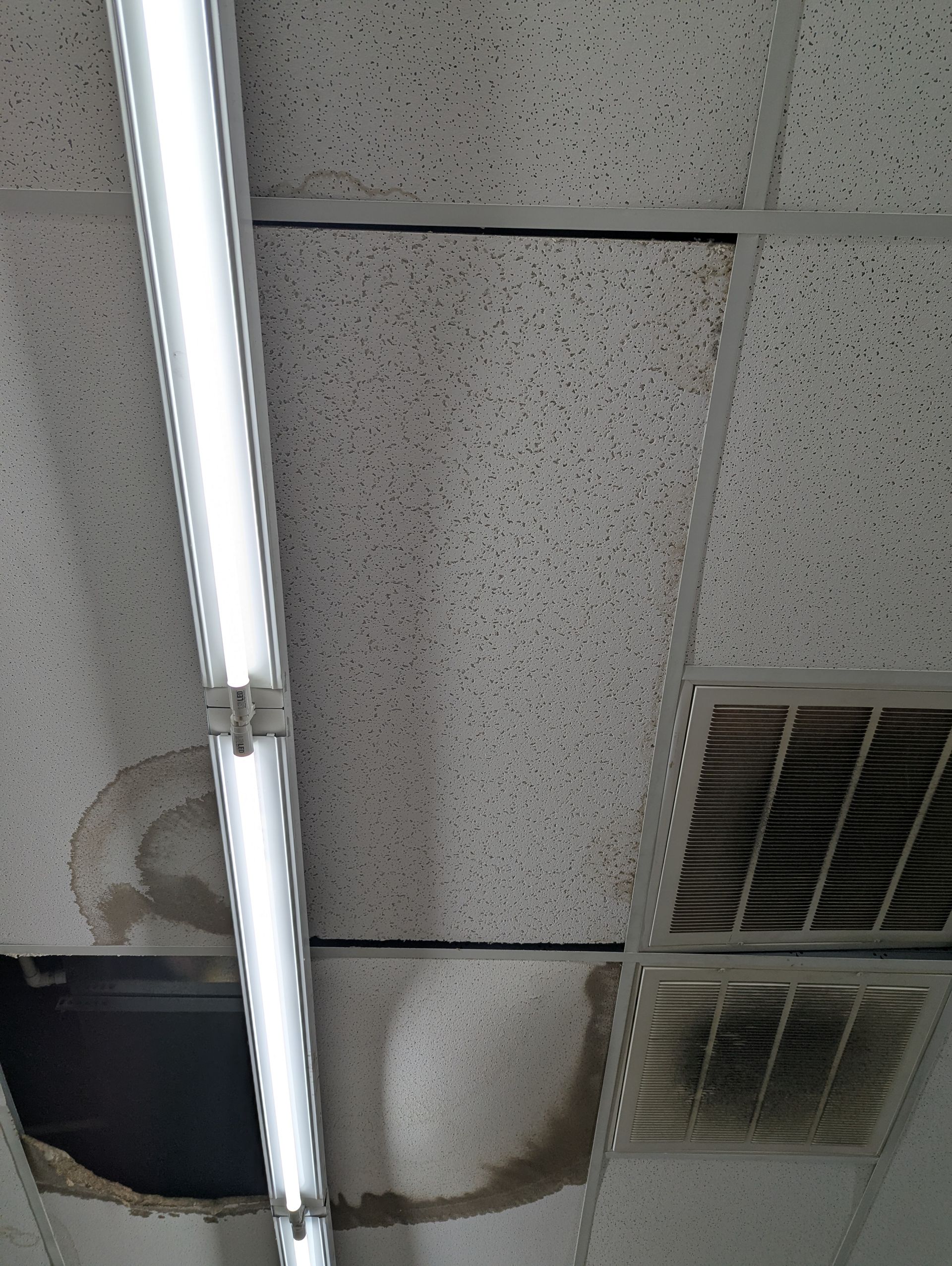 A drop ceiling featuring water-stained, sagging tiles, a missing tile, and a fluorescent light fixture.