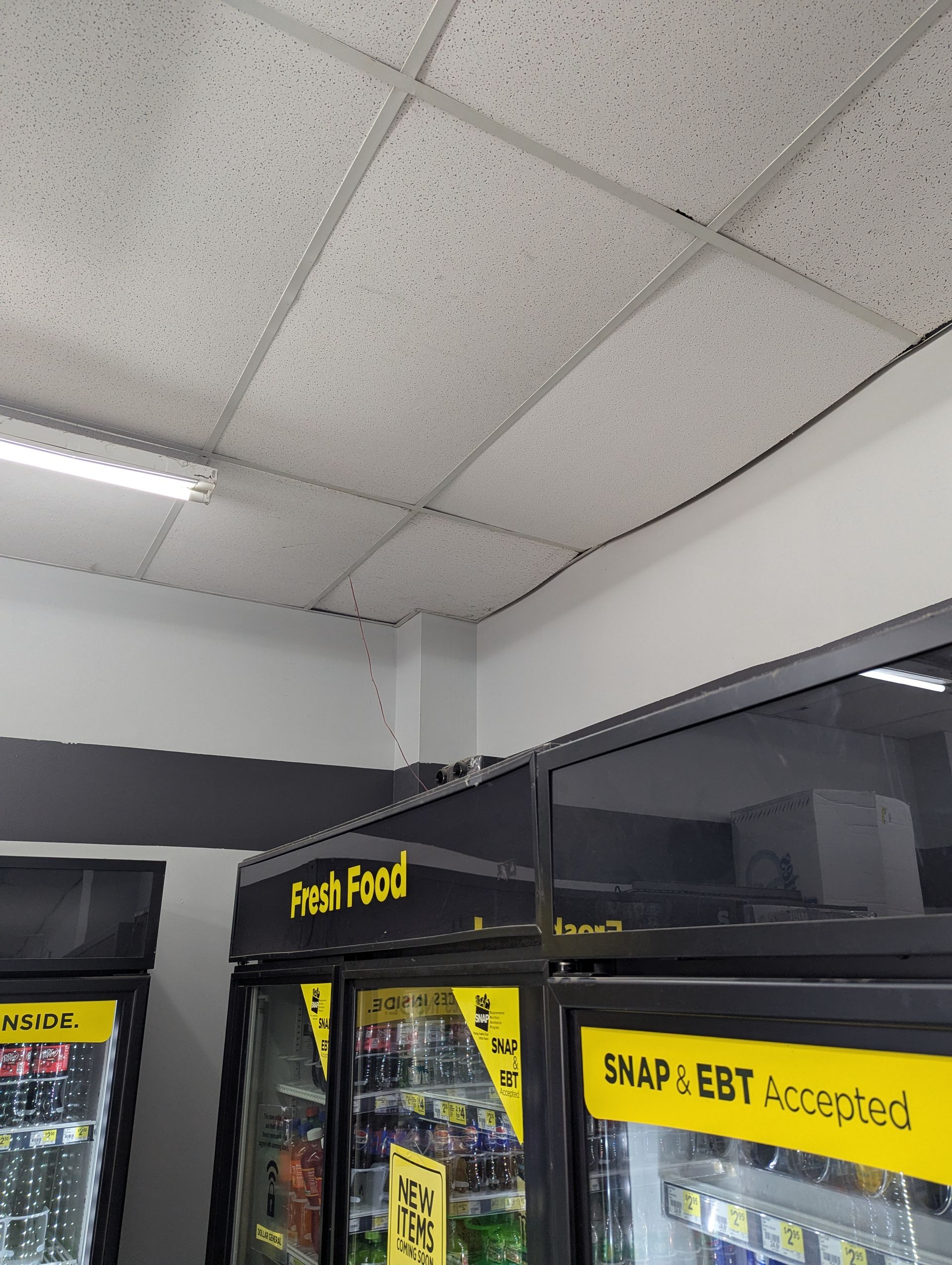 Interior of a store showing refrigerated display cases with 