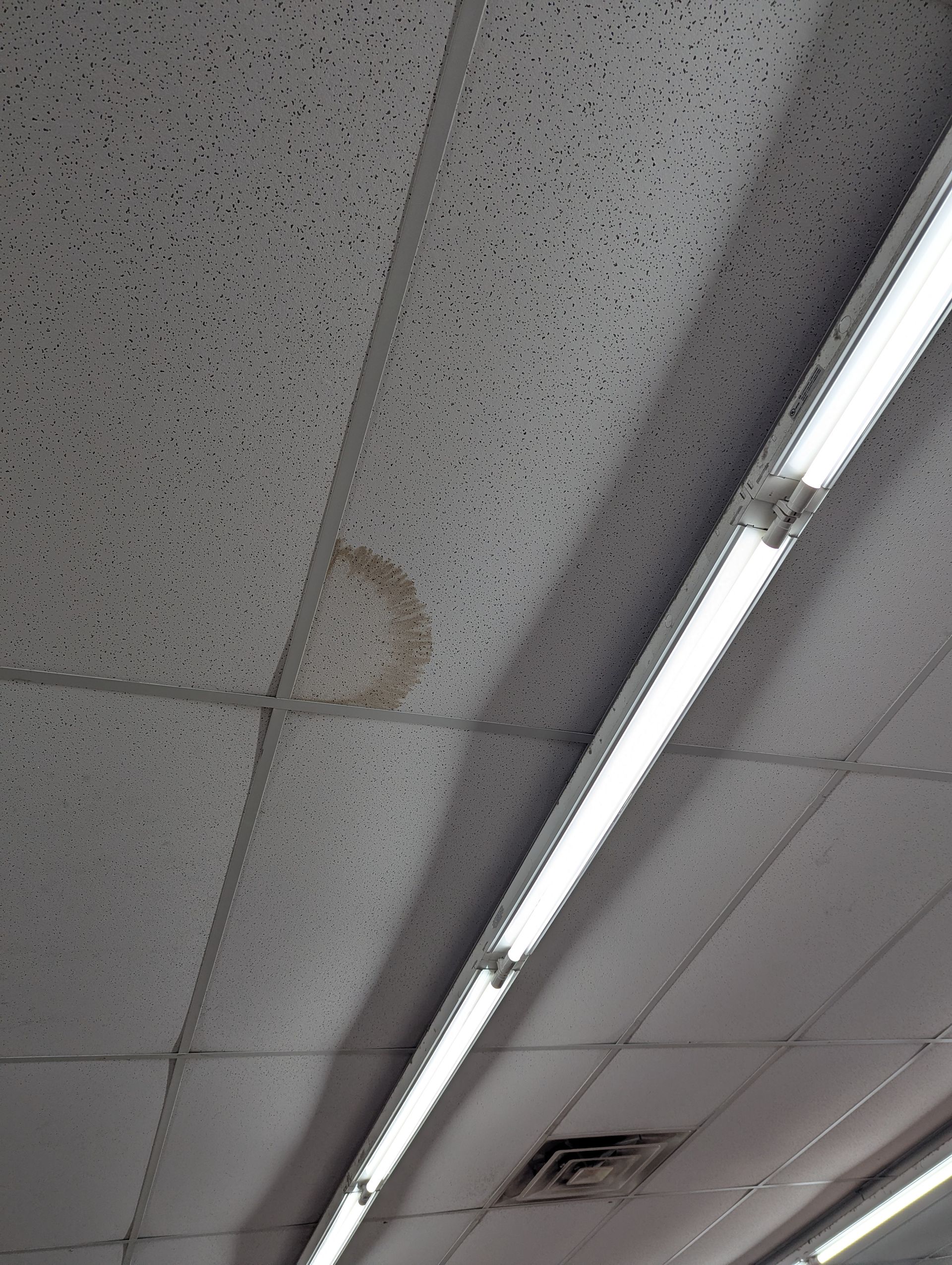A light-colored acoustic ceiling tile with a brown, circular water stain near a linear fluorescent light fixture.