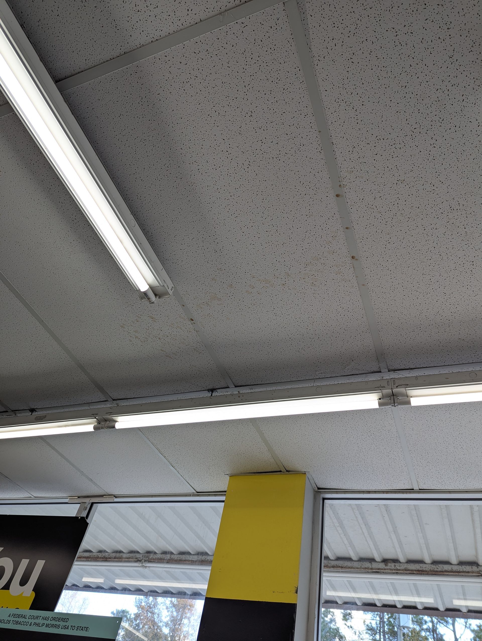 A low-angle view of a drop ceiling with a bright linear light fixture, a yellow column, and a window with outdoor scenery.