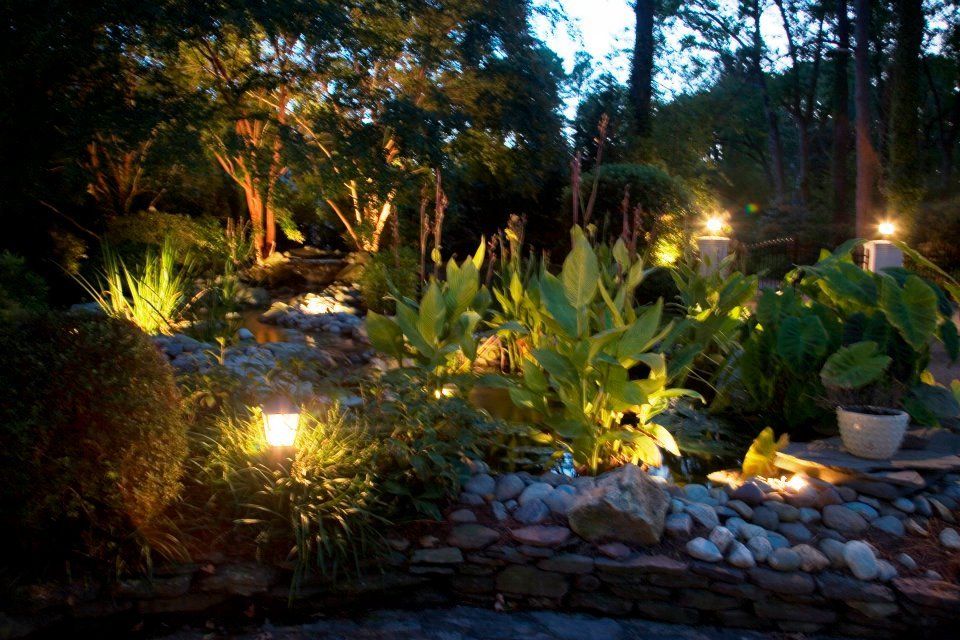 Close Up Of Plants And Bushes Lit Up By Landscape Lighting — Virginia Beach, VA — Gentle Rain