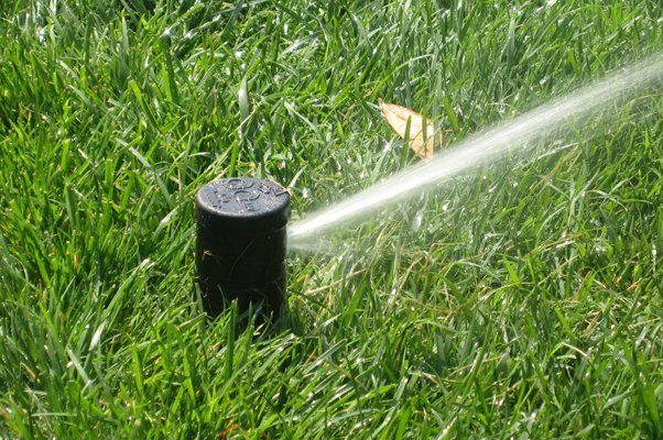Closeup of Sprinklers Spraying Water — Virginia Beach, VA — Gentle Rain