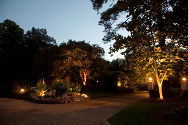 Large Area Full Of Trees With Lighting — Virginia Beach, VA — Gentle Rain