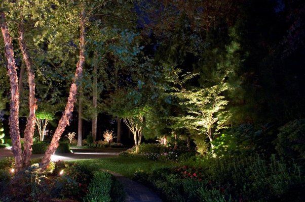 Large Trees Lit Up At Night — Virginia Beach, VA — Gentle Rain
