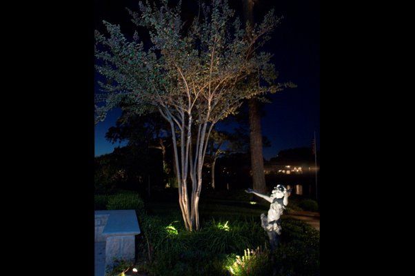 Tree Lit Up Next To Small Statue — Virginia Beach, VA — Gentle Rain