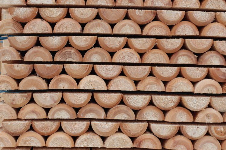 Cilindrētie pusmieti