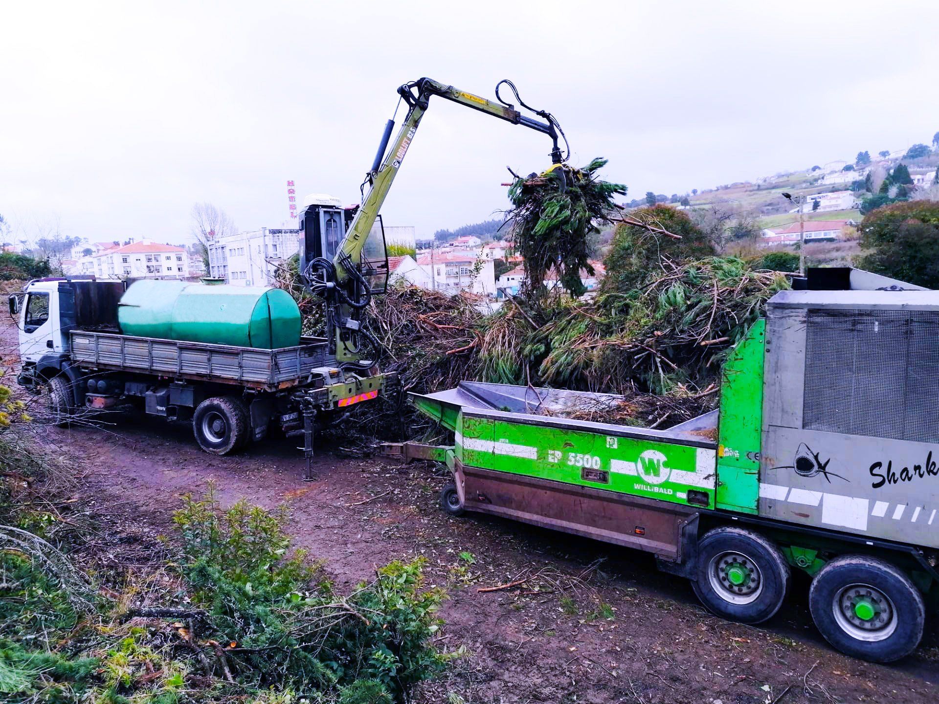 E,C&R, ECR, Floresta, Mata, Gestão florestal, Limpeza florestal