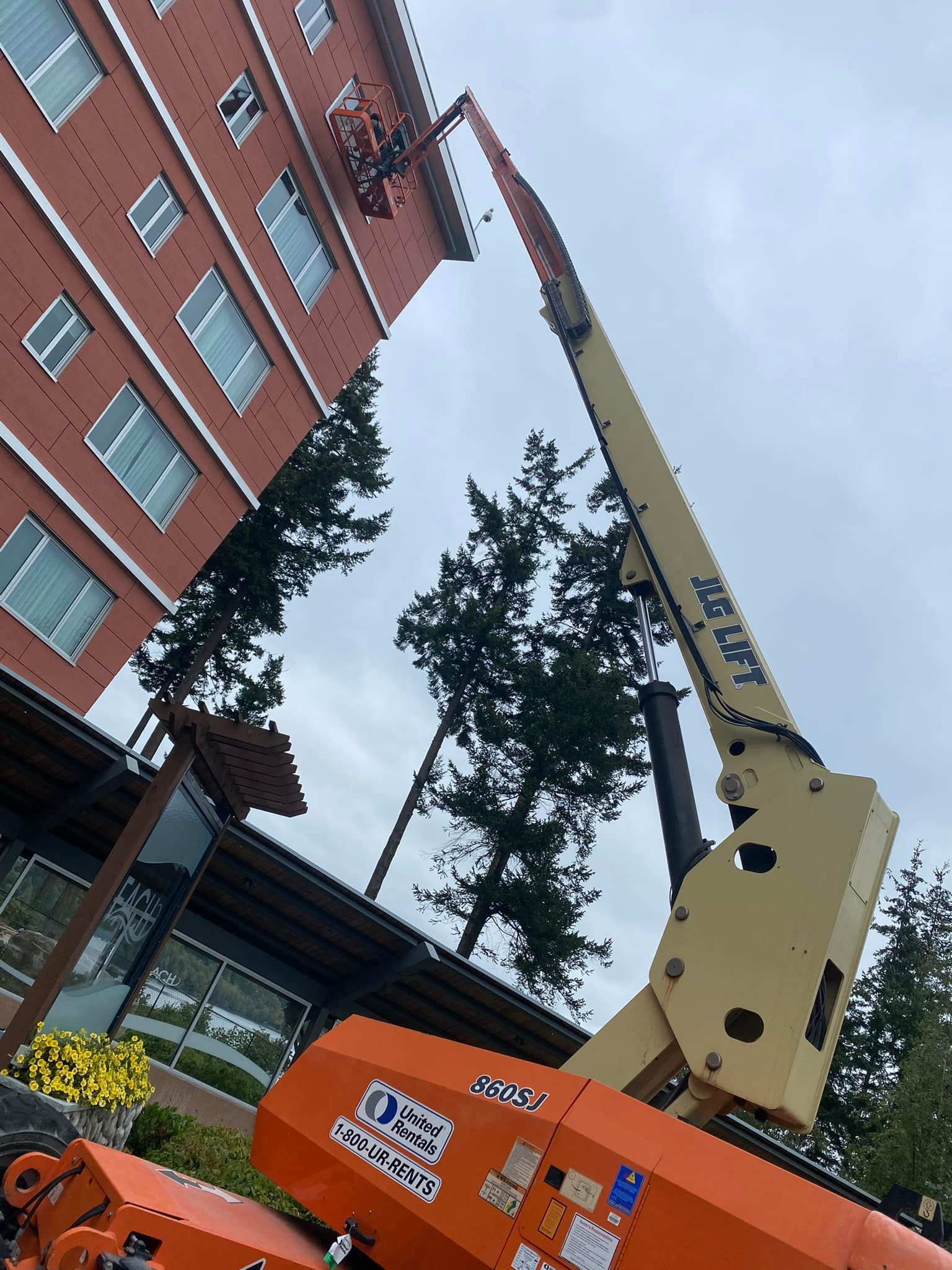 A crane is lifting a tree in front of a building.