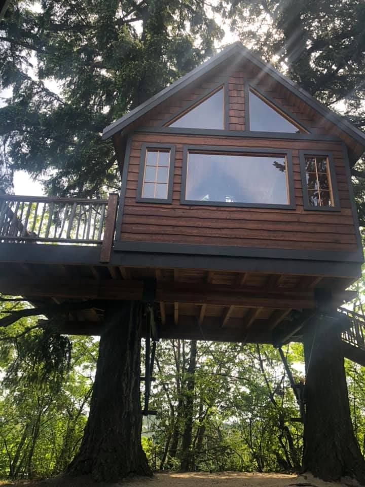 A tree house with a balcony is built into a tree