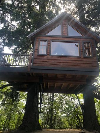 A tree house with a balcony is built into a tree