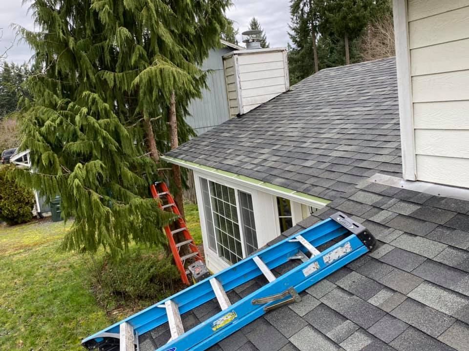 A blue ladder is sitting on top of a roof next to a tree.