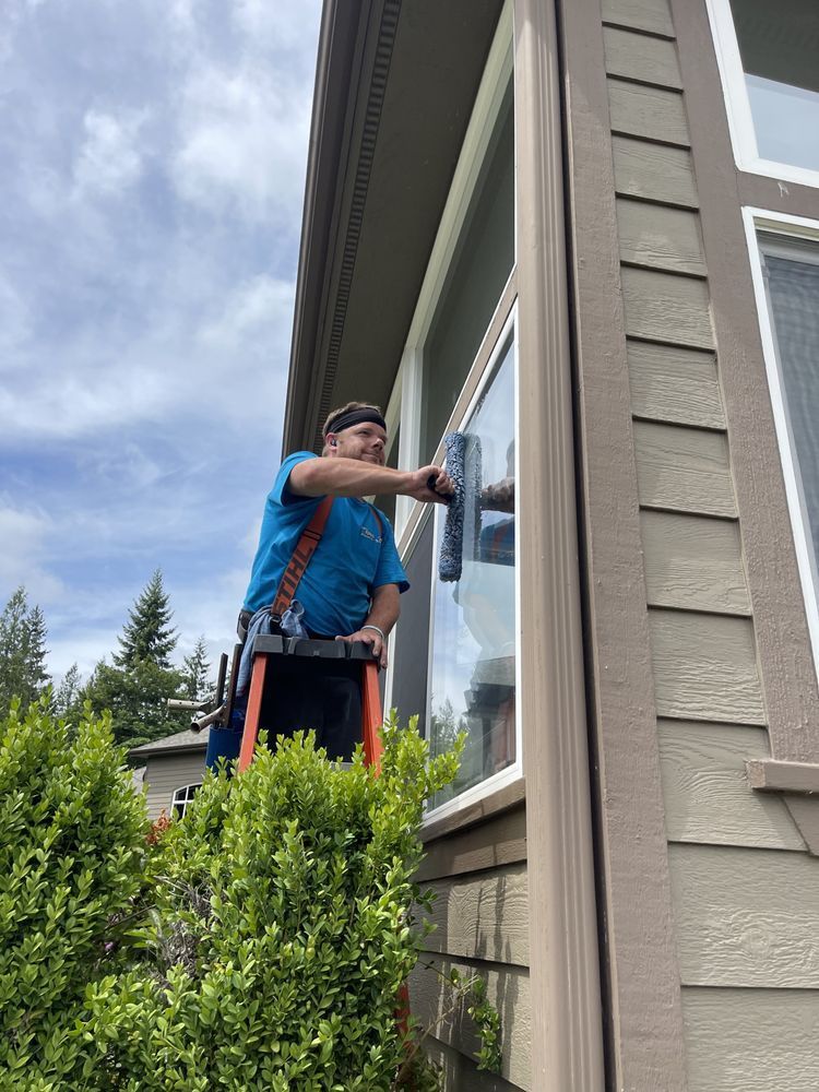 A man is standing on a ladder cleaning a window.