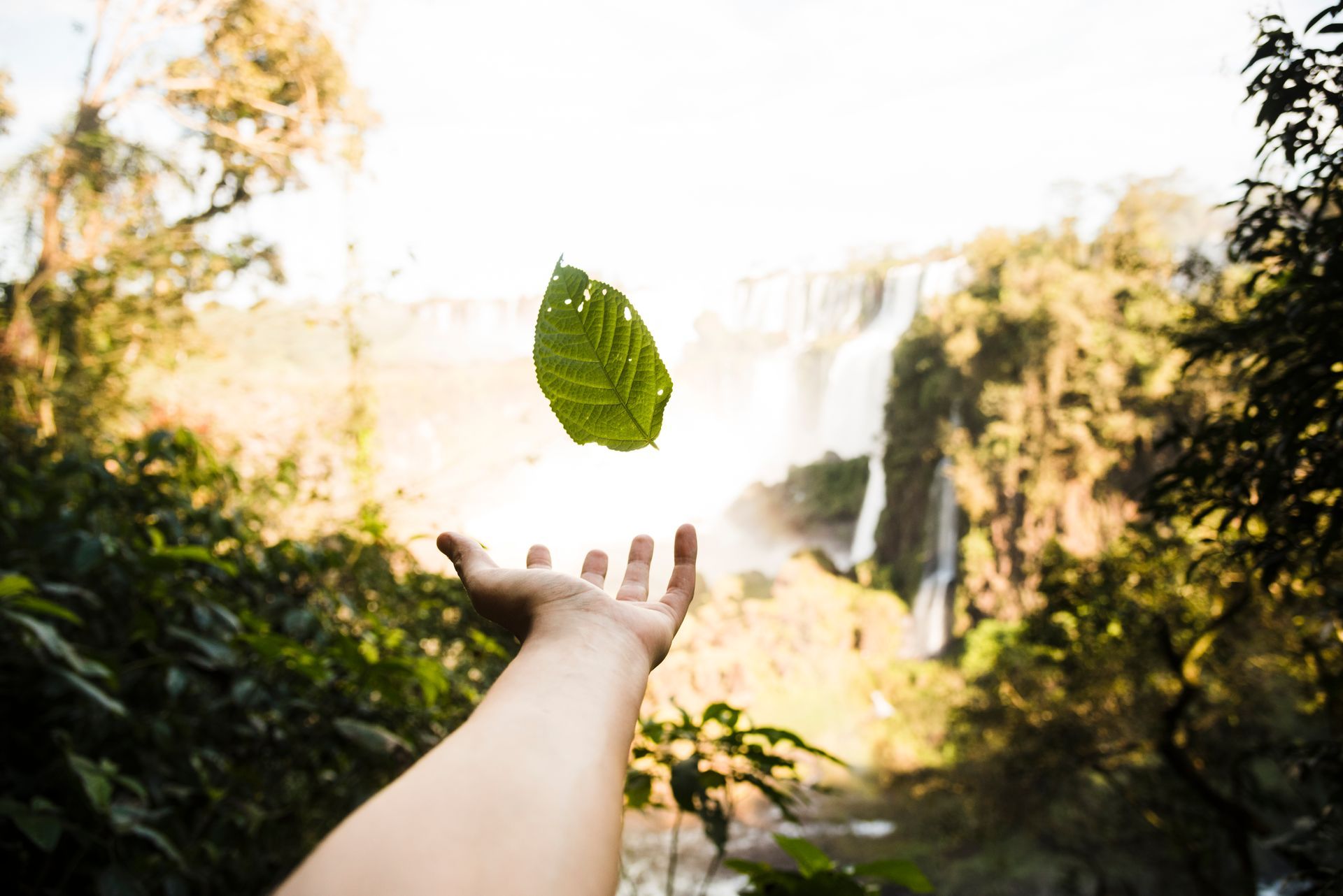 Una persona intenta alcanzar una hoja en el aire frente a una cascada.