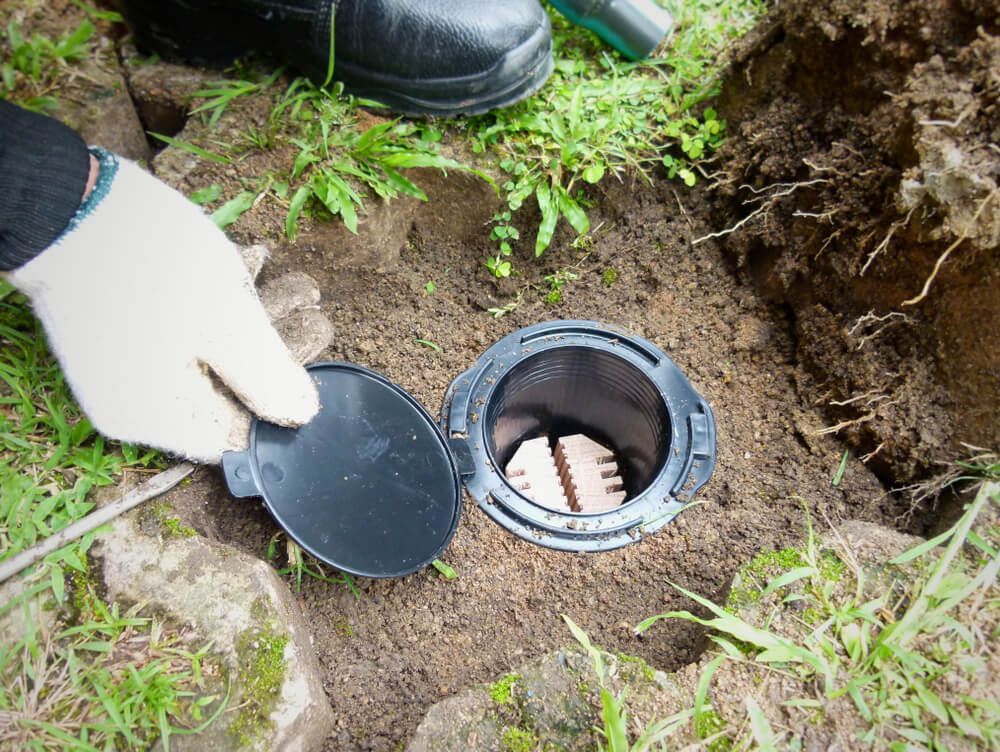 A Person is Holding a Plastic Lid Over a Hole in the Ground — Dominion Pest Control in Kumbia, QLD
