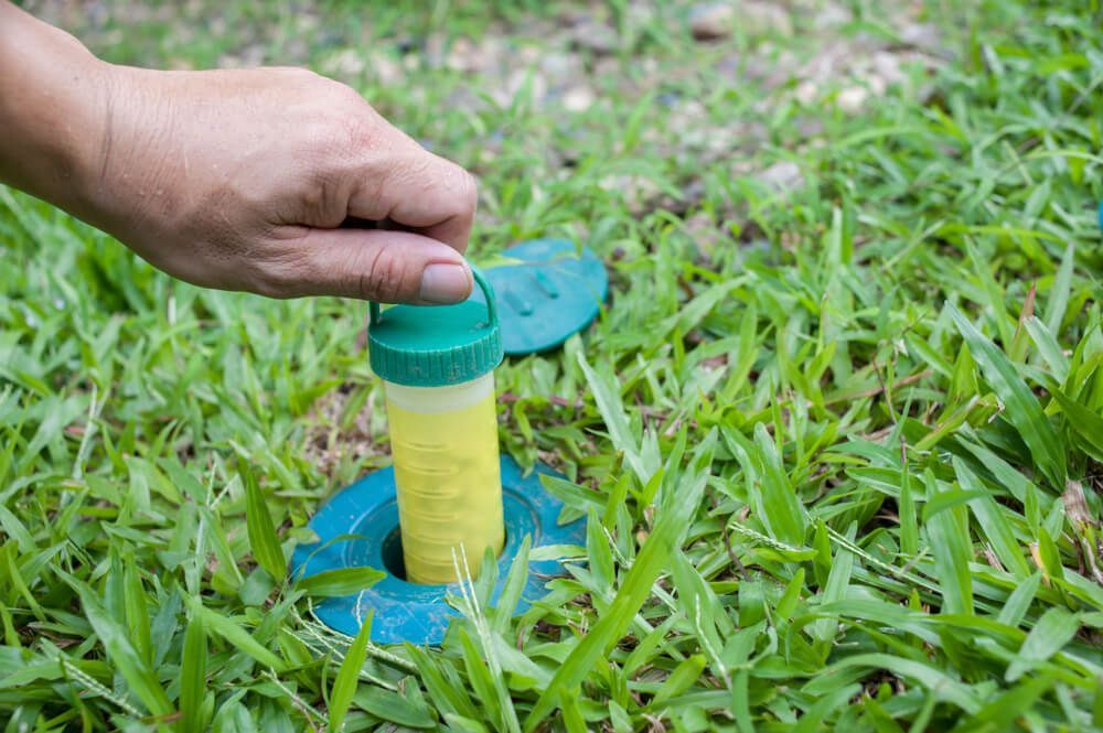 A Person is Holding a Bottle of Insecticide in the Grass — Dominion Pest Control in Wondai, QLD