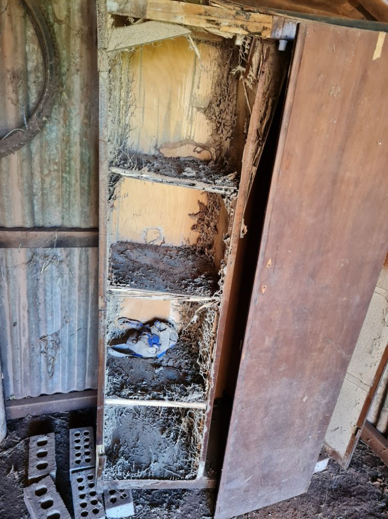 Cabinet With Pest During Home Pest Inspection — Dominion Pest Control in Kingaroy, QLD
