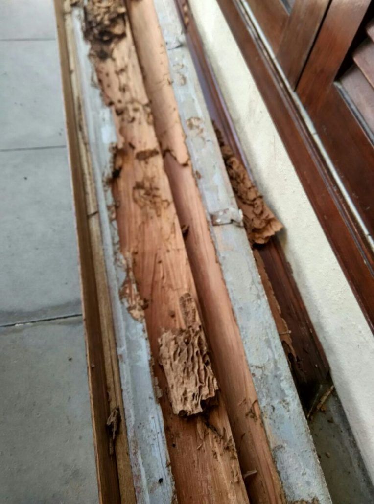 Damaged Door & Window Frame Caused By Termites — Dominion Pest Control in Kingaroy, QLD