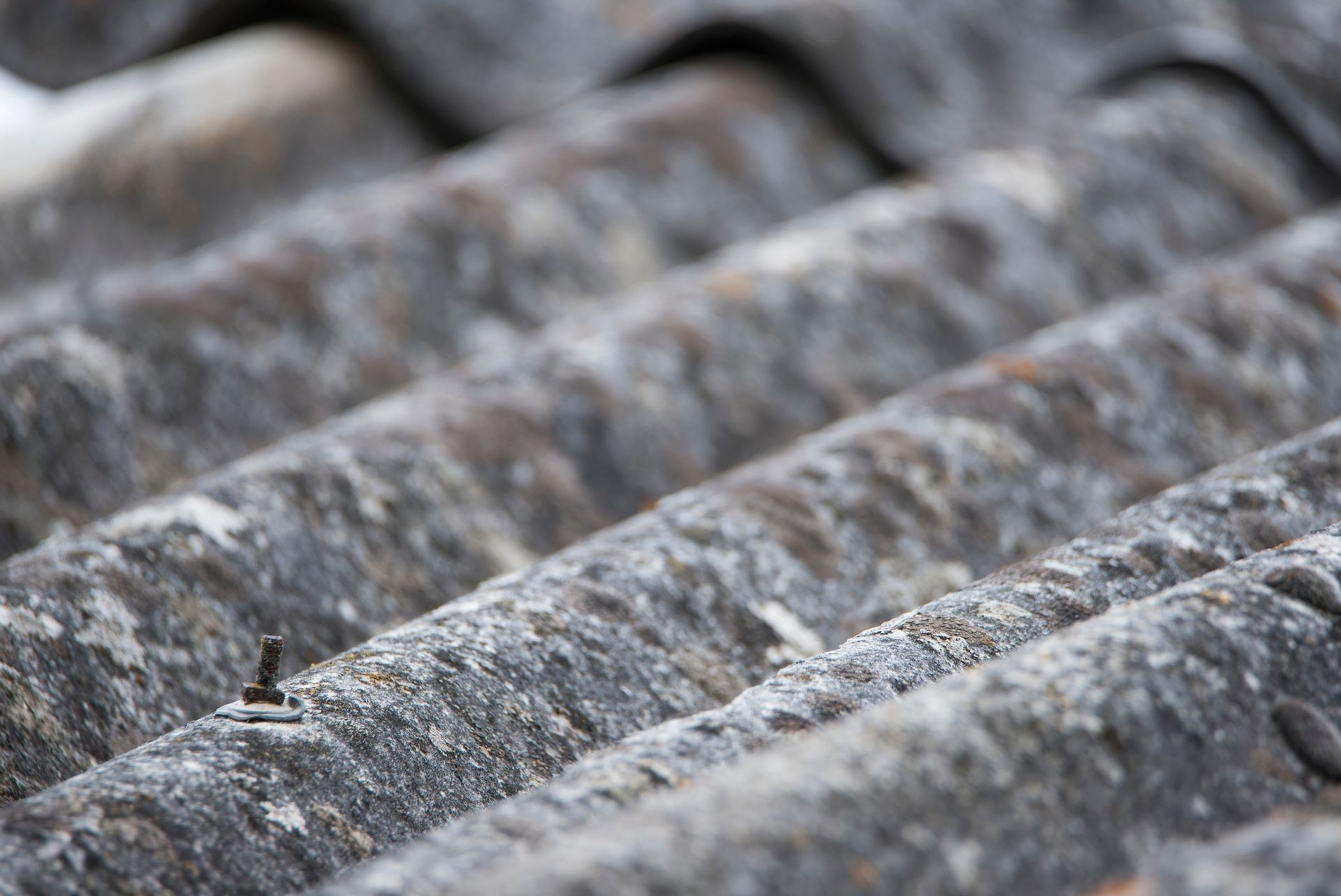 Primo piano di tegole ondulate grigie e usurate, con un piccolo elemento di fissaggio metallico visibile.