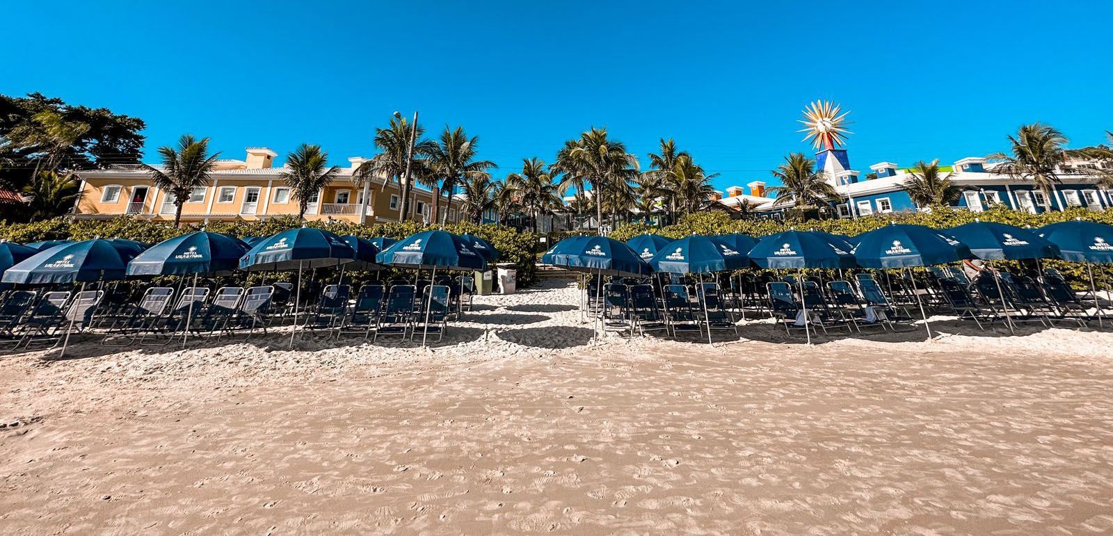 Uma fileira de cadeiras e guarda-sóis na praia.