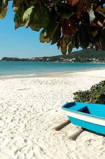 Um grupo de pessoas está nadando no oceano em uma praia.