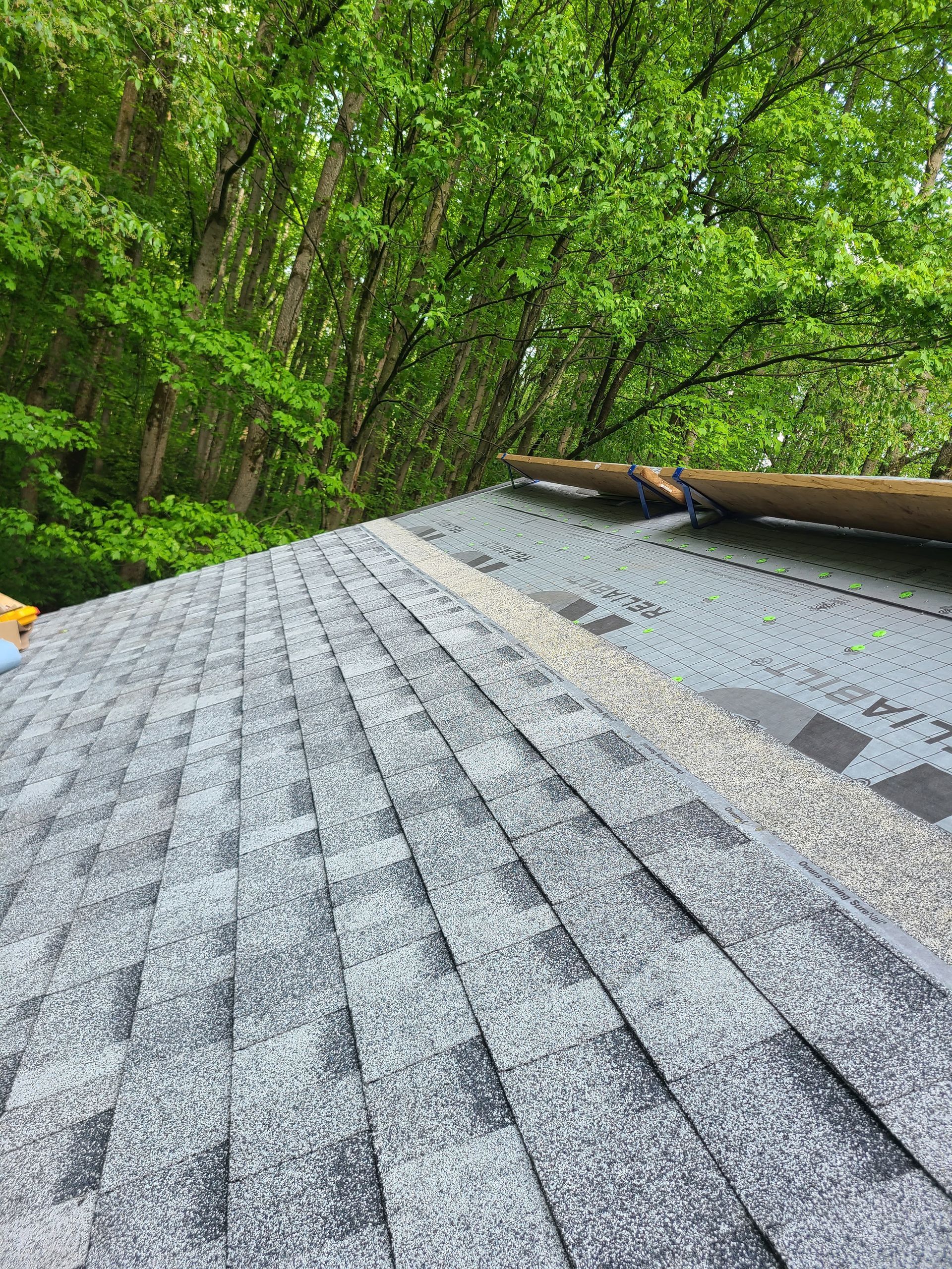 Gray shingle roof, close-up, against a backdrop of green trees.