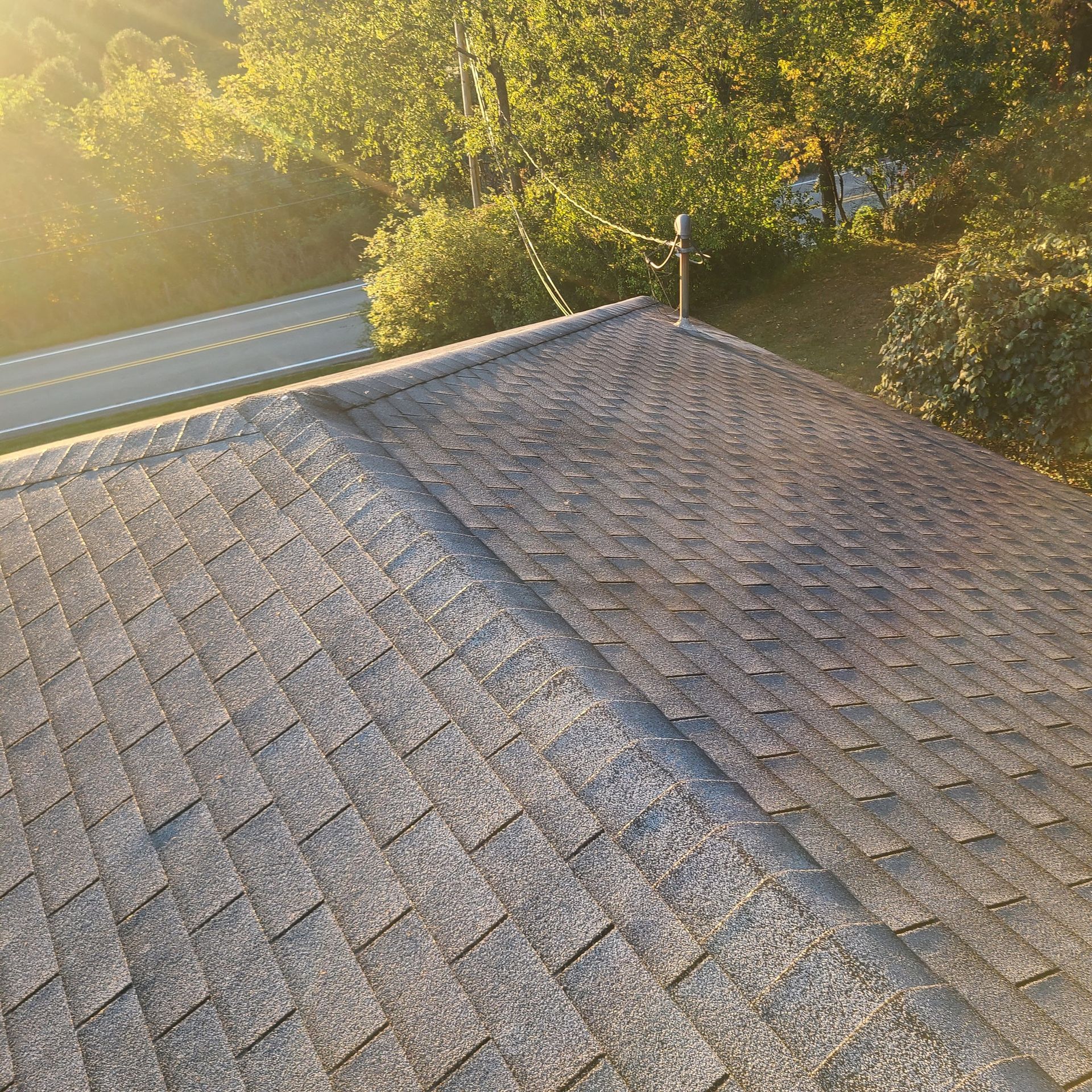 Gray shingle roof, sunlight, trees in background, angled view.