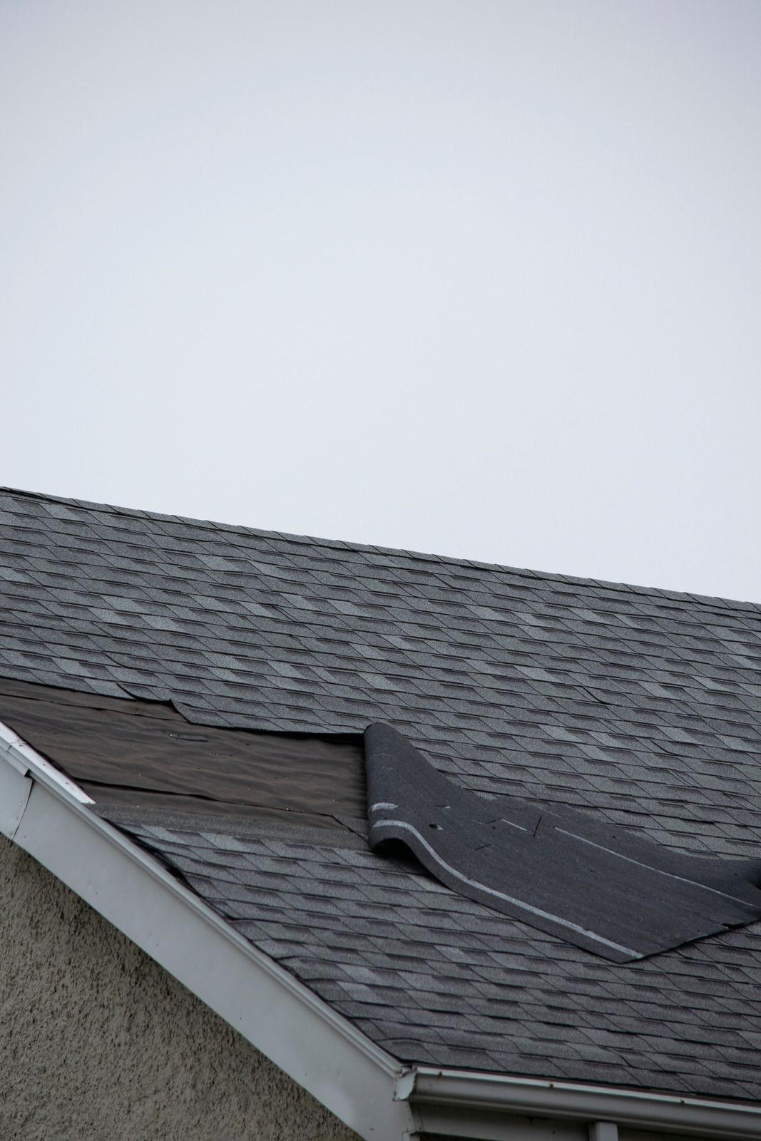 A brown shingled roof with a green lawn and trees in the background. Overcast day.