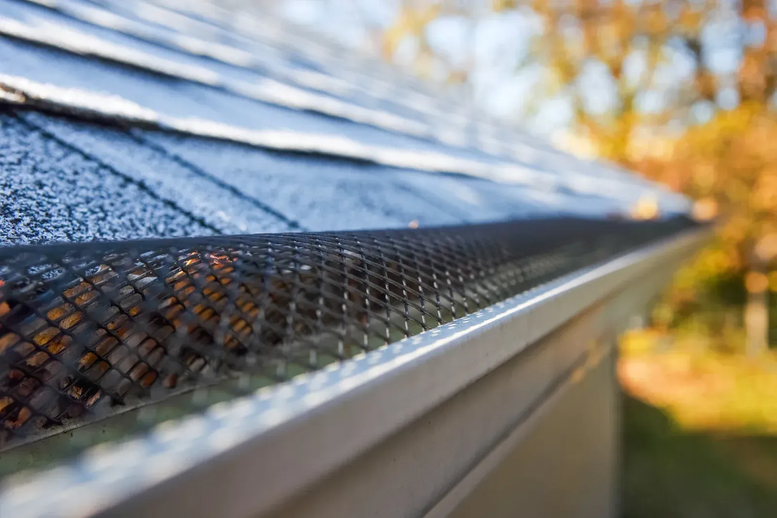 Gutter guard on roof, filled with leaves, against a blurred background of autumn trees.