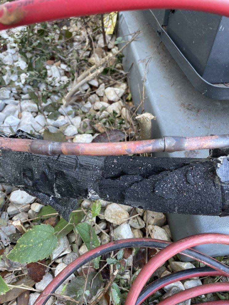 A close up of a hose sitting on top of a pile of rocks.