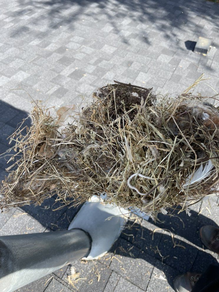 A person is holding a pile of hay in their hand.
