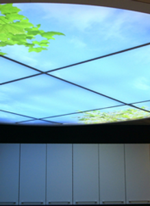 Un plafond avec une image d'un arbre dessus