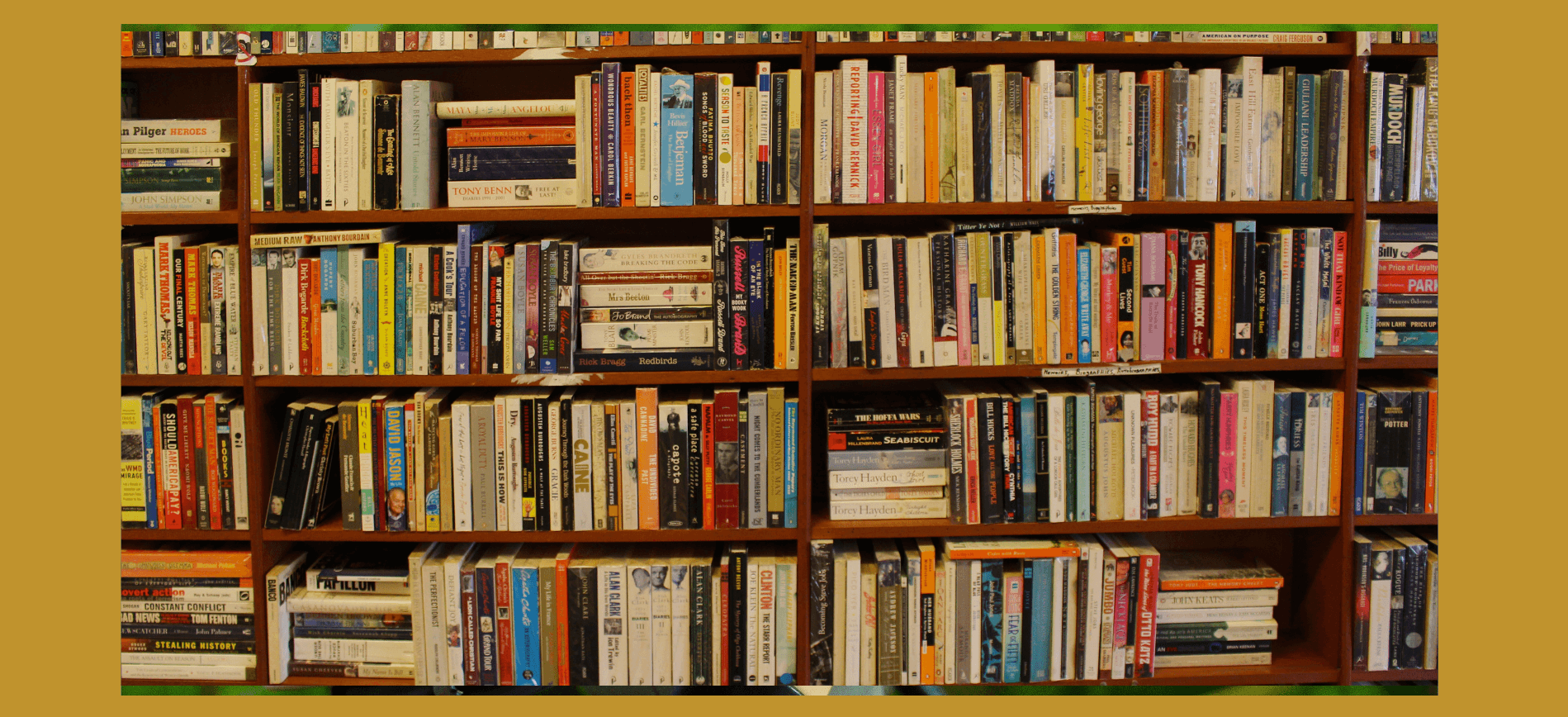Uma estante abarrotada de livros